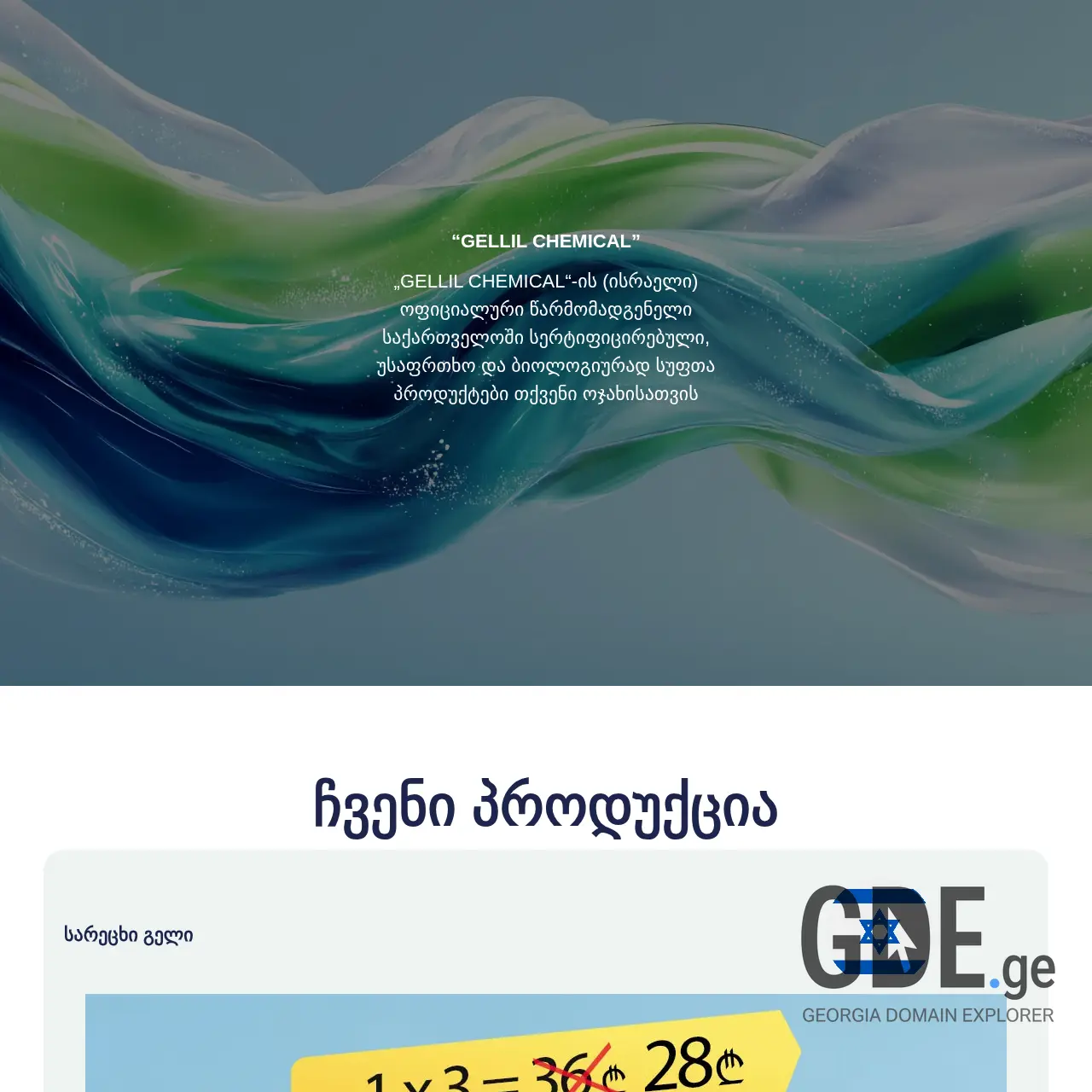 Screenshot of the site vishgeorgia.ge at 2025-12-12