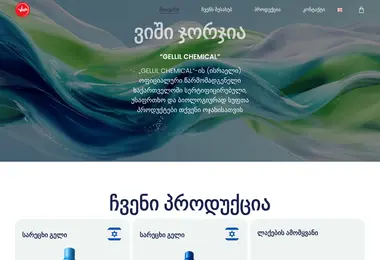 vishgeorgia.ge-ის ეკრანის სურათი