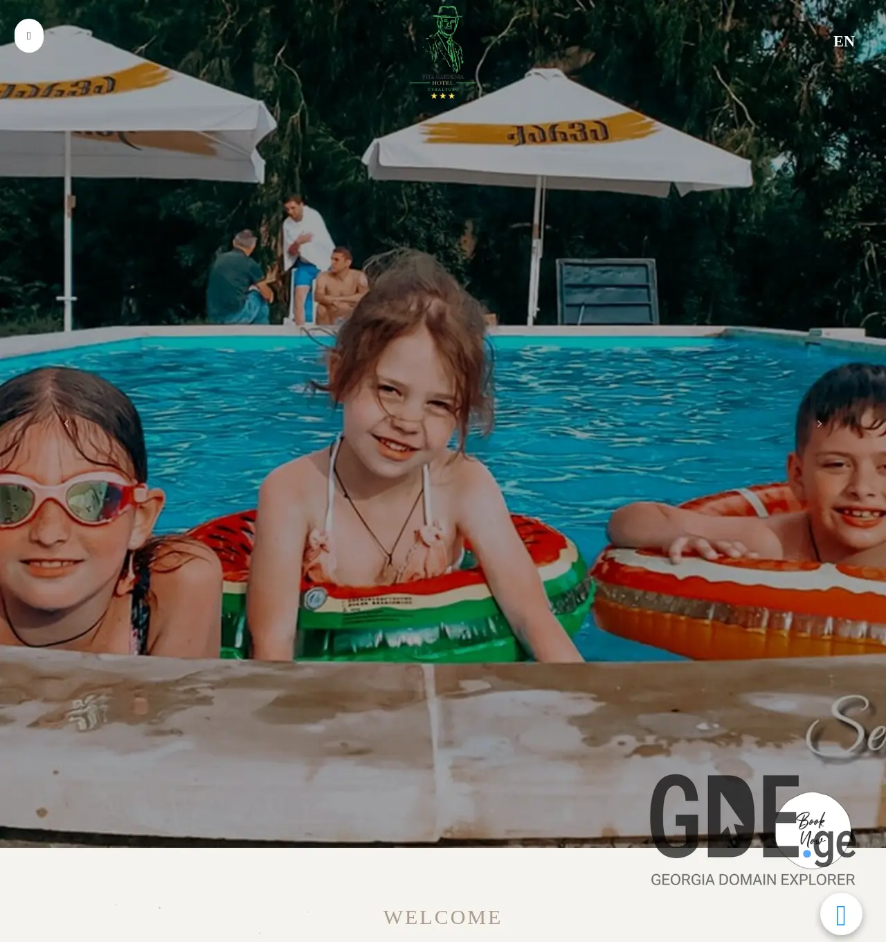 Screenshot of the site vitagardenia.ge at 2025-12-03