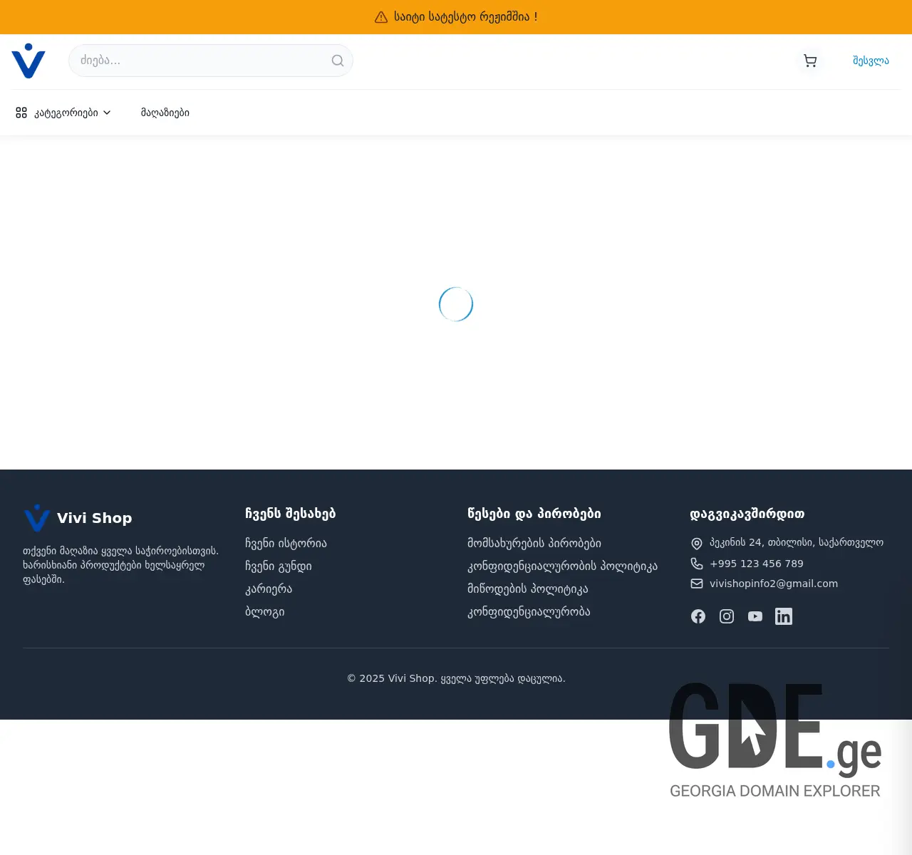 Screenshot of the site vivi.ge at 2025-11-25