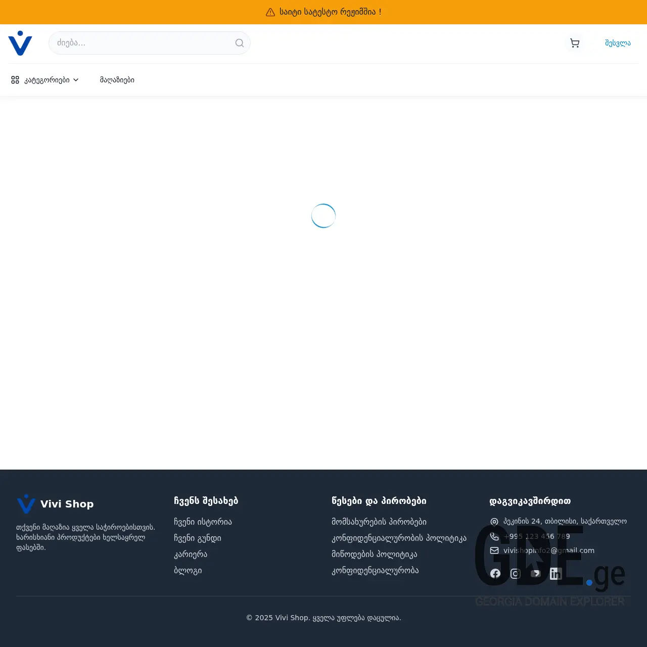 Screenshot of the site vivi.ge at 2025-12-15