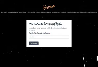 Screenshot of vivida.ge