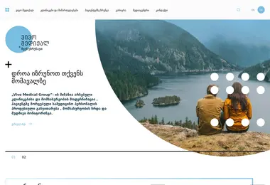 Скриншот vivomedical.ge