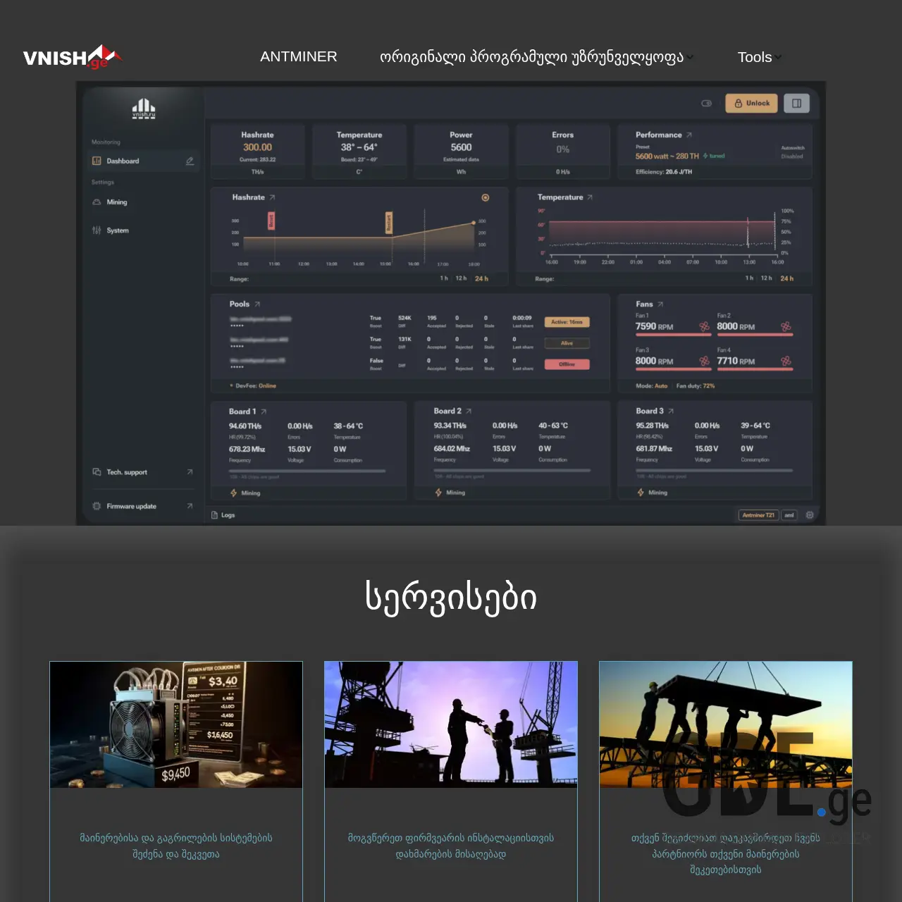 Screenshot of the site vnish.ge at 2026-01-18