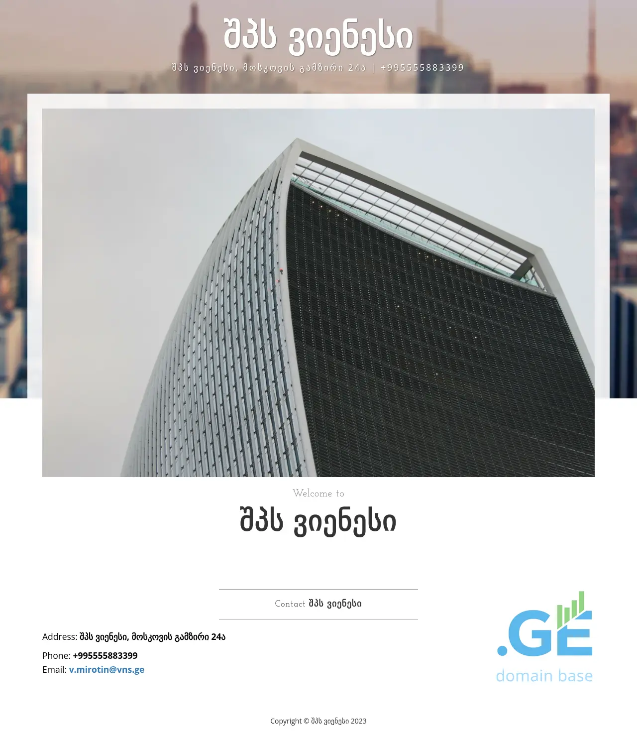 Screenshot of the site vns.ge