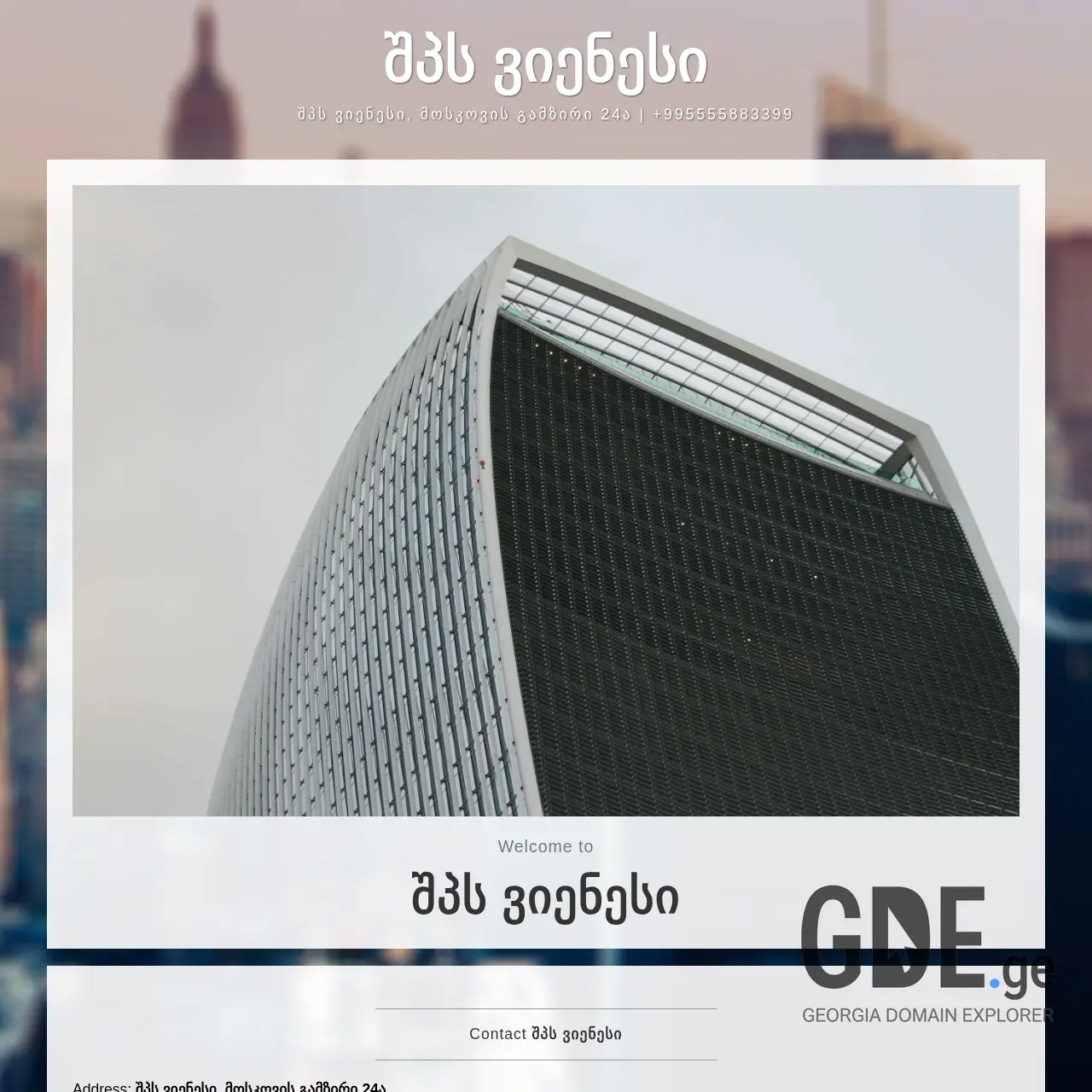 Screenshot of the site vns.ge at 2025-12-12