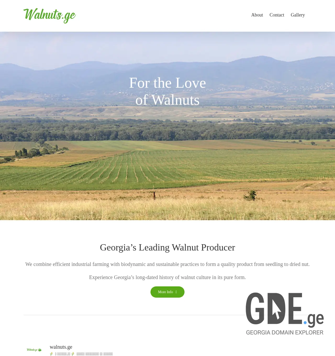 Screenshot of the site walnuts.ge at 2025-11-30