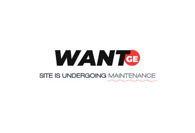 Screenshot of want.ge