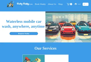 Screenshot of washywashy.ge