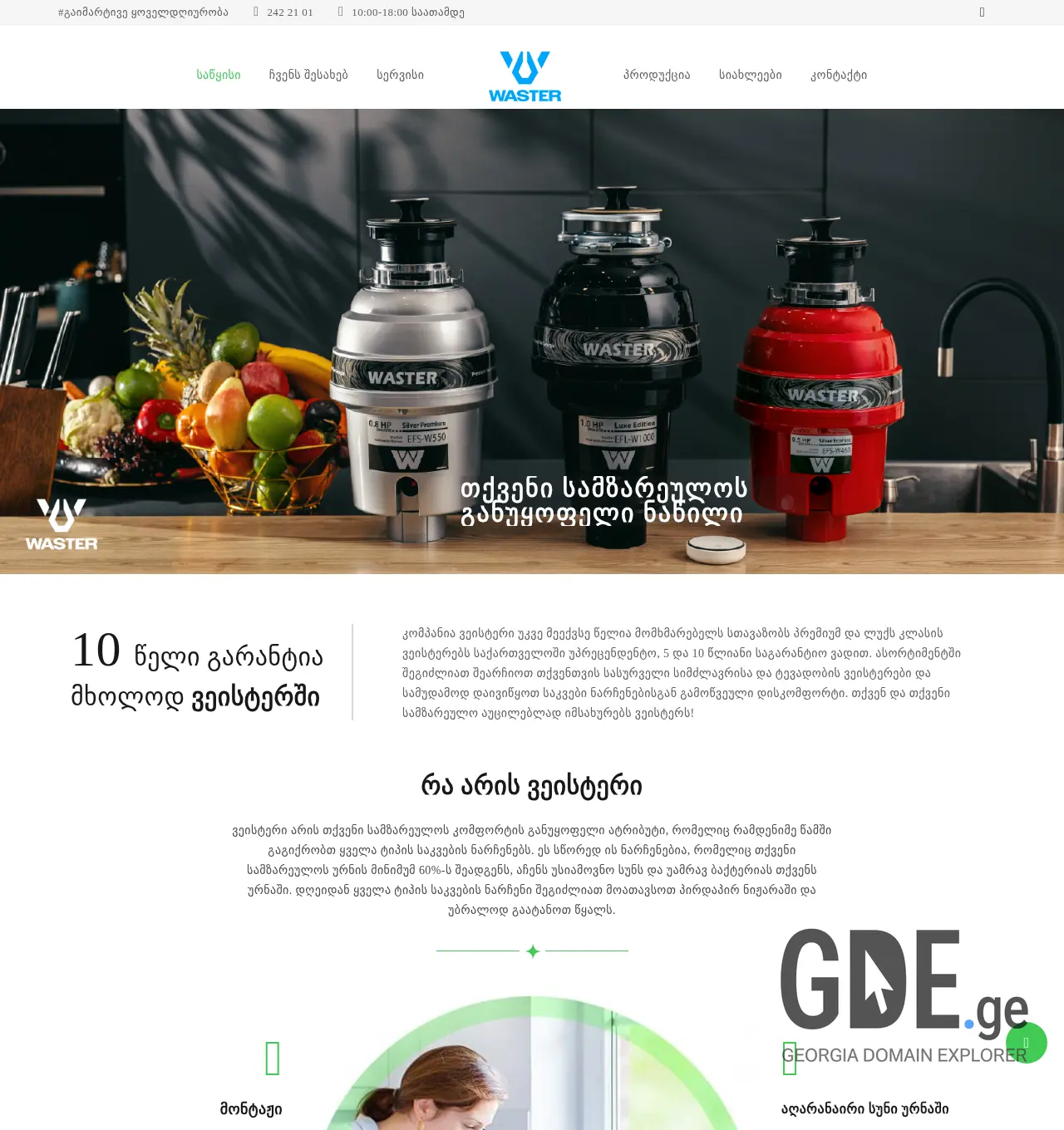 Screenshot of the site waster.ge at 2025-11-29