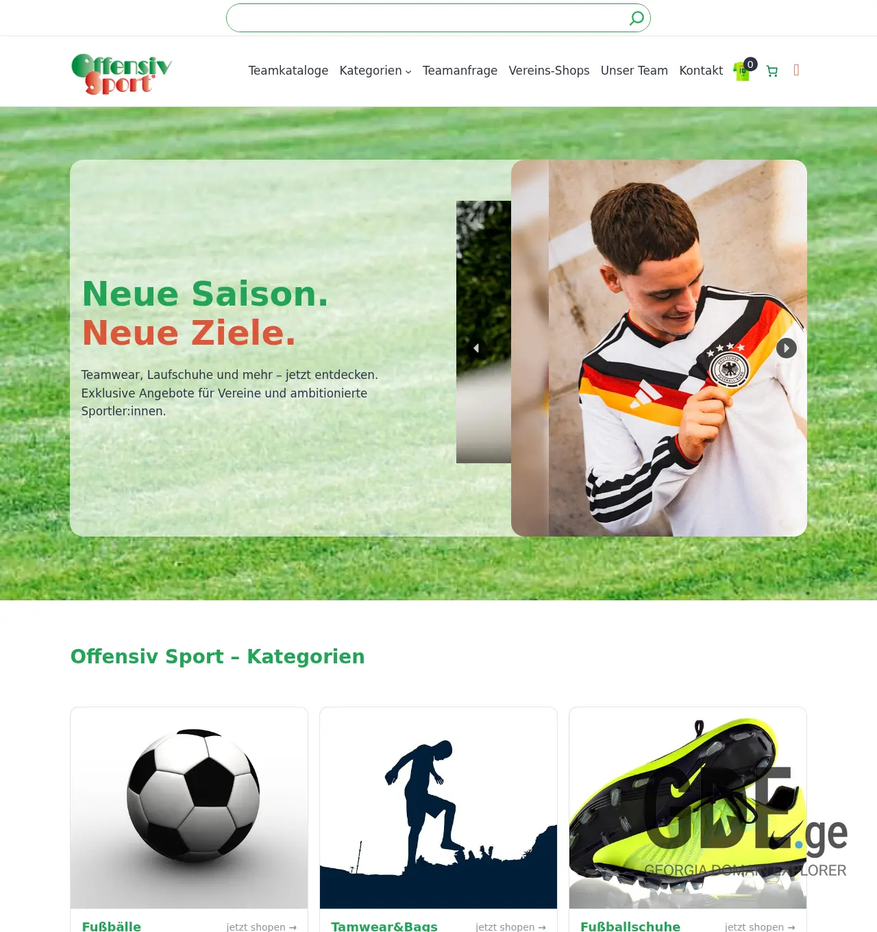 Screenshot of the site wds-test.ge at 2025-12-06