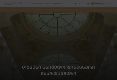 wealth.ge-ის ეკრანის სურათი