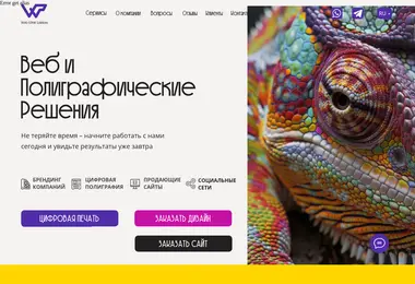 Screenshot of web-and-print.ge