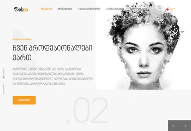 webco.ge-ის ეკრანის სურათი