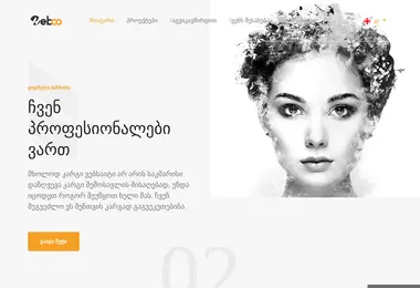 Screenshot of webco.ge