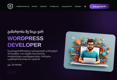 Screenshot of weboctopus.ge