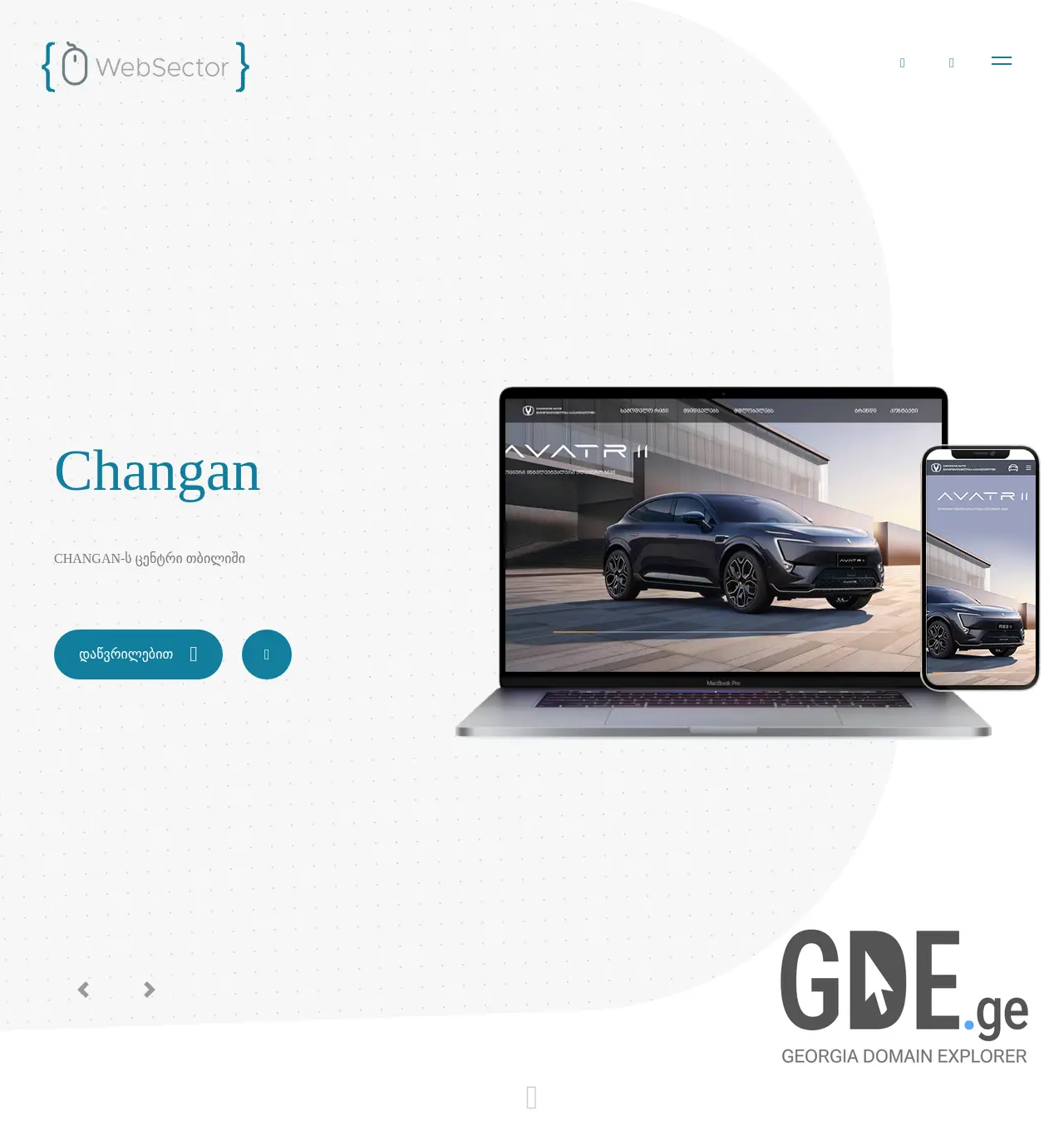 Screenshot of the site websector.ge at 2025-11-30