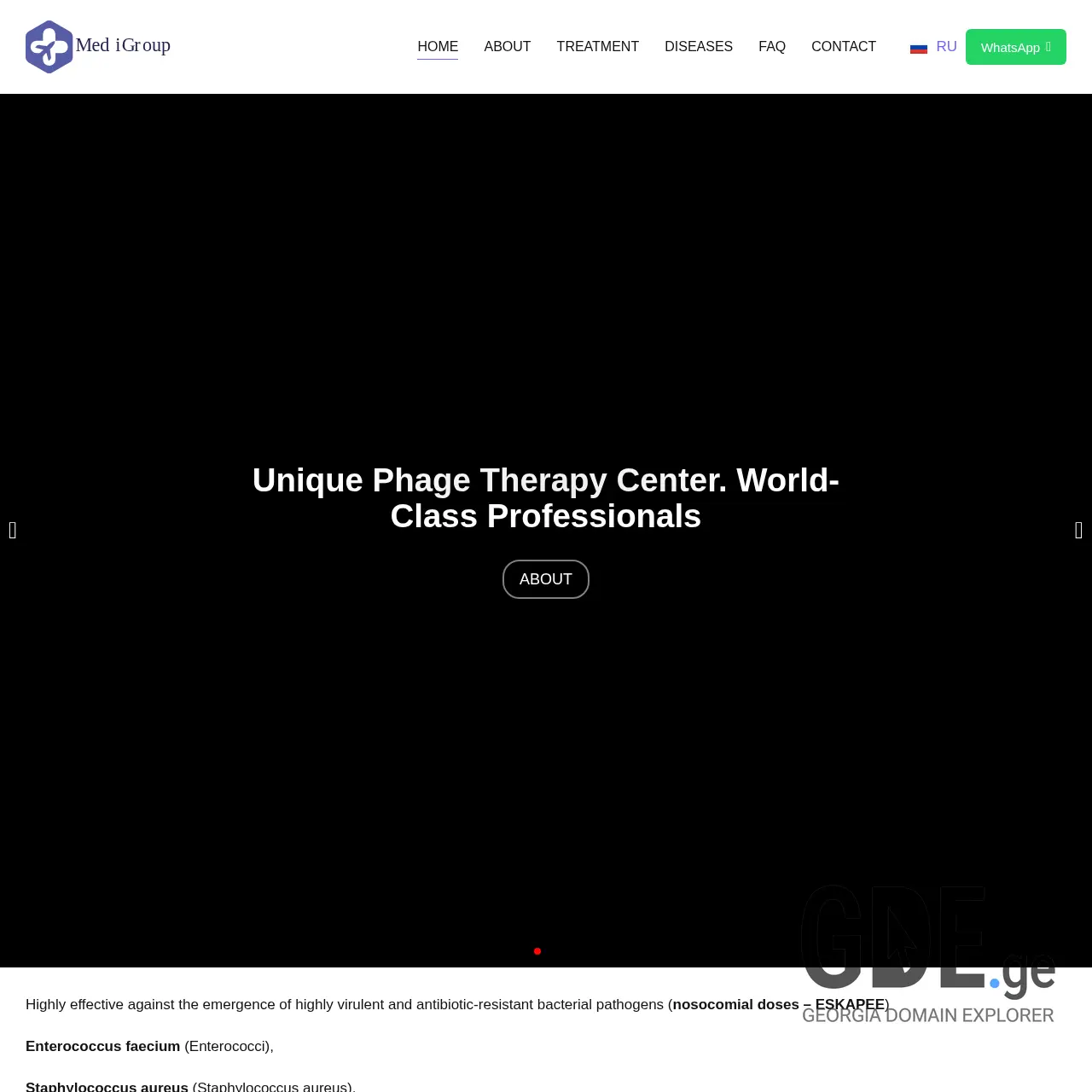 Screenshot of the site webtest.ge at 2025-12-12