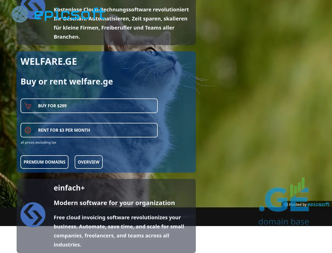 Screenshot of the site welfare.ge
