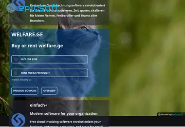 Screenshot of welfare.ge