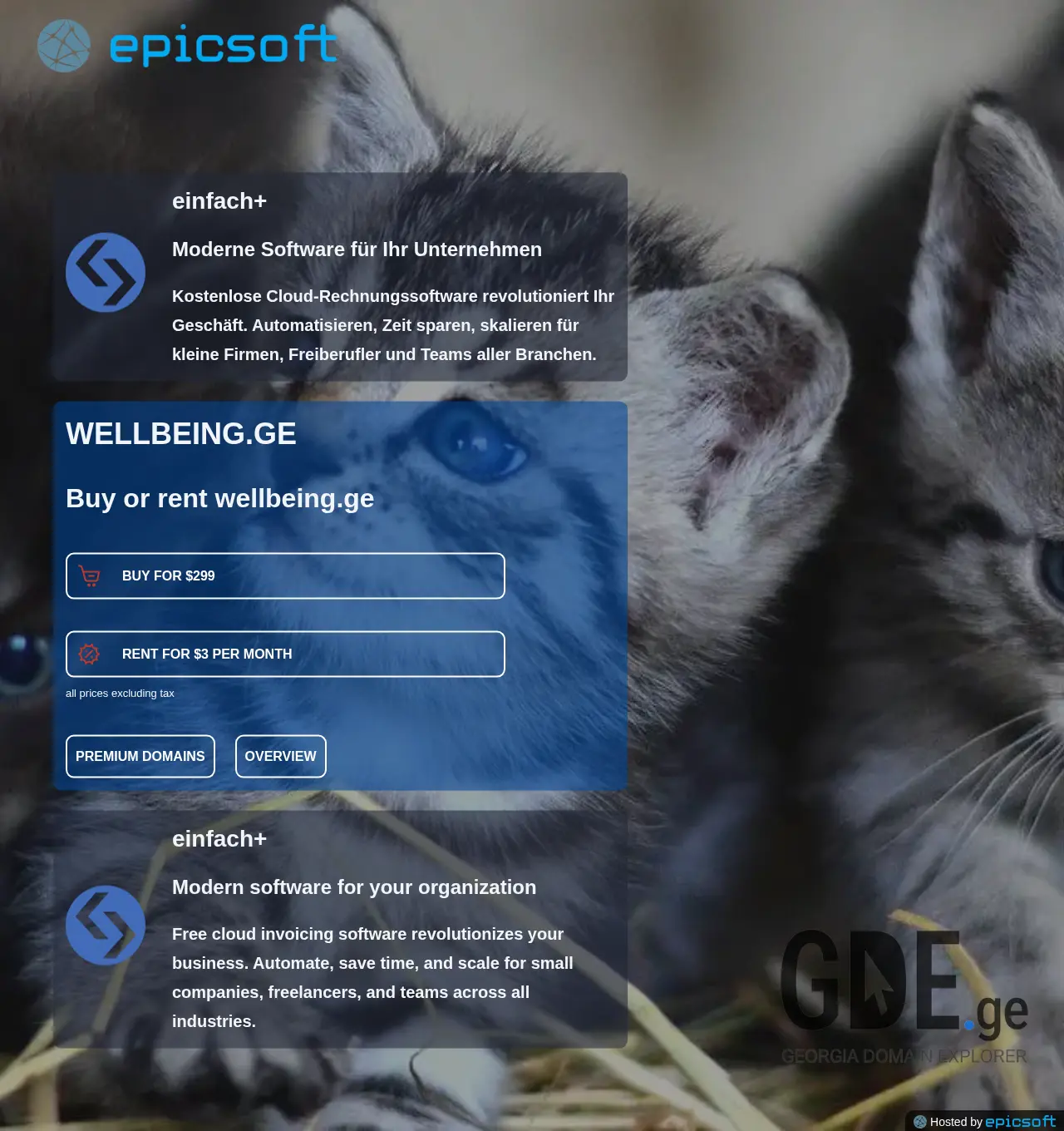 Screenshot of the site wellbeing.ge at 2025-12-03