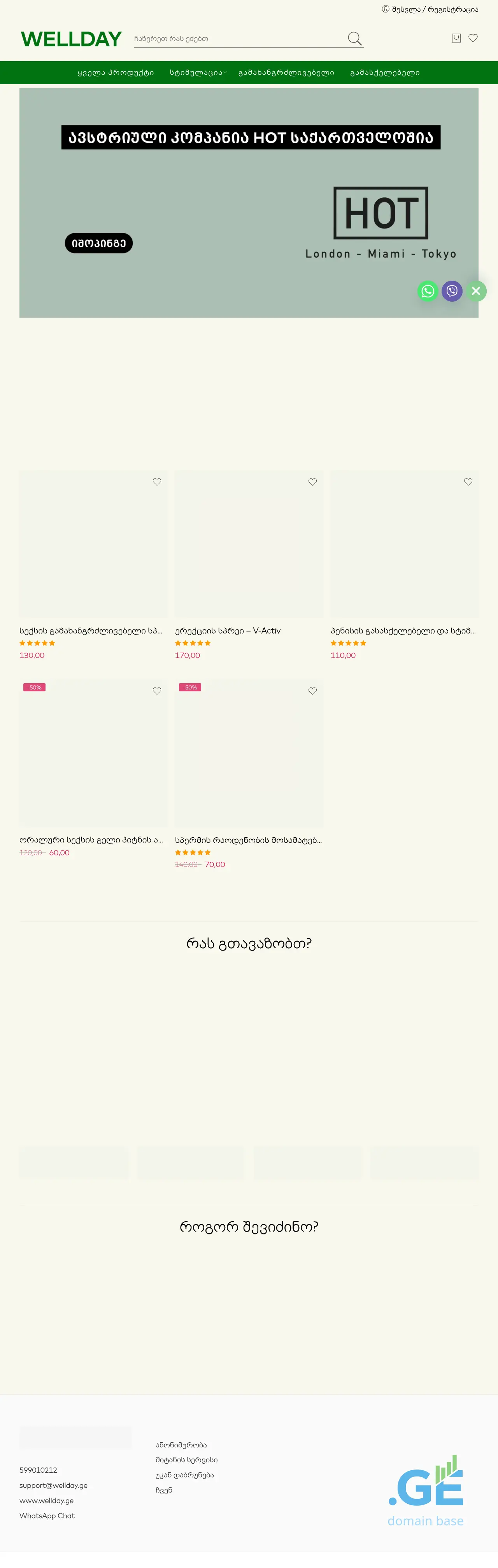 Screenshot of the site wellday.ge