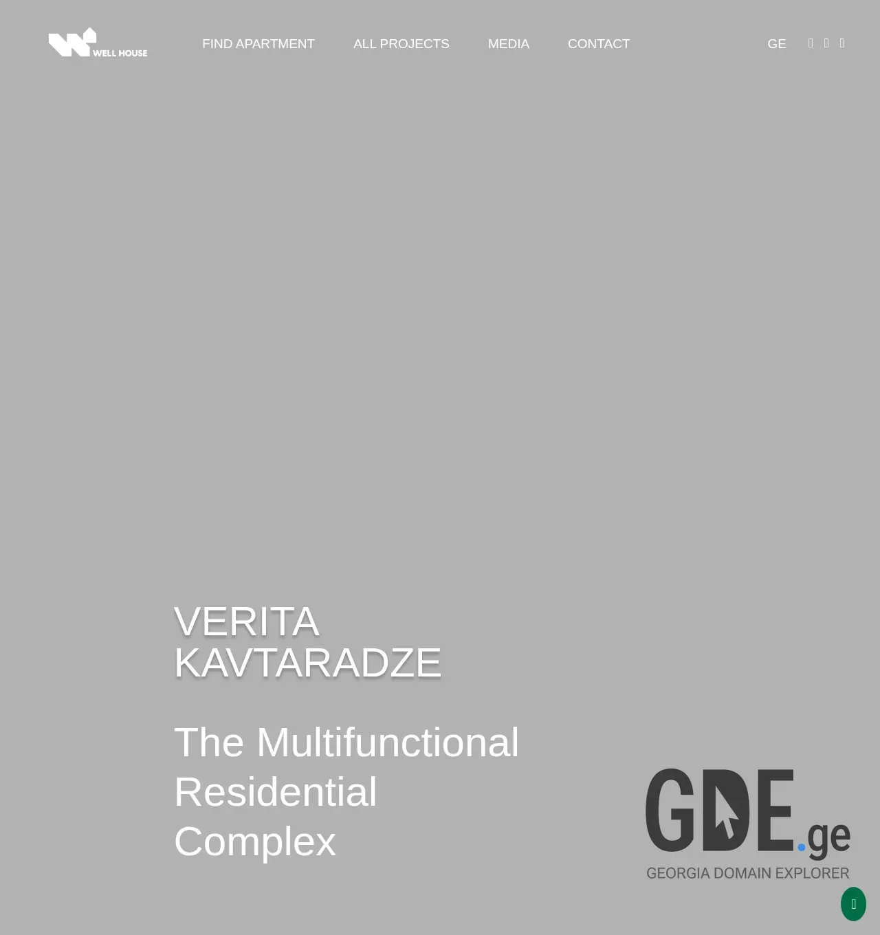 Screenshot of the site wellhouse.ge at 2025-11-29