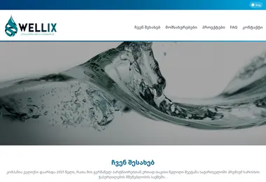 Screenshot of wellix.ge