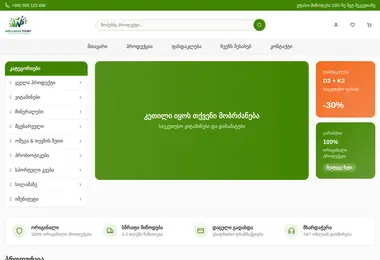 Скриншот wellnesspoint.ge