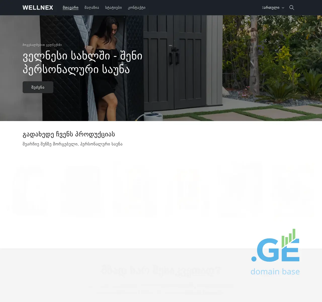 Screenshot of the site wellnex.ge at 2025-11-02