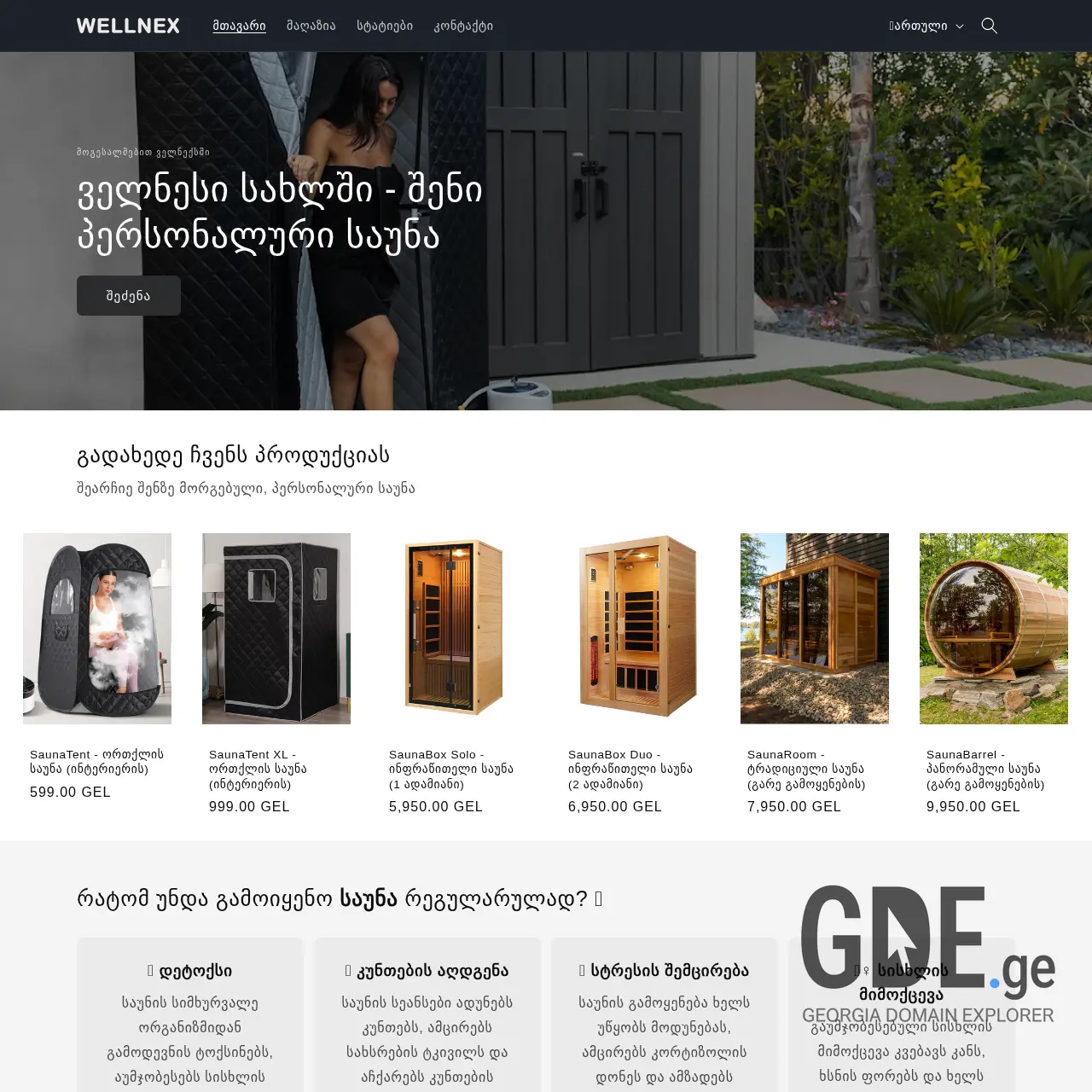 Screenshot of the site wellnex.ge at 2025-12-15