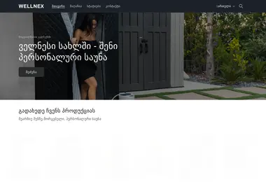 Screenshot of wellnex.ge