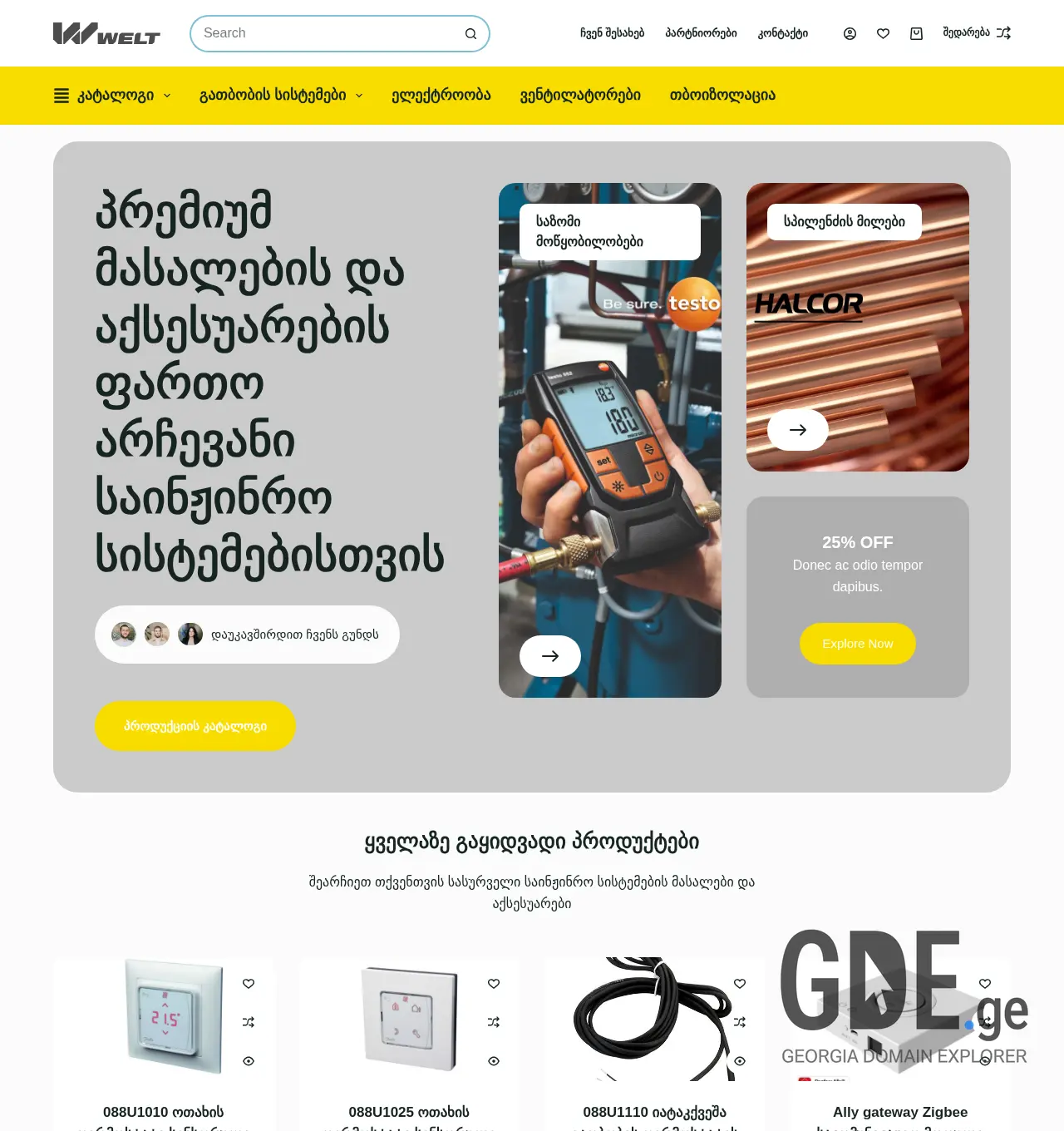 Screenshot of the site welt.ge at 2025-12-03