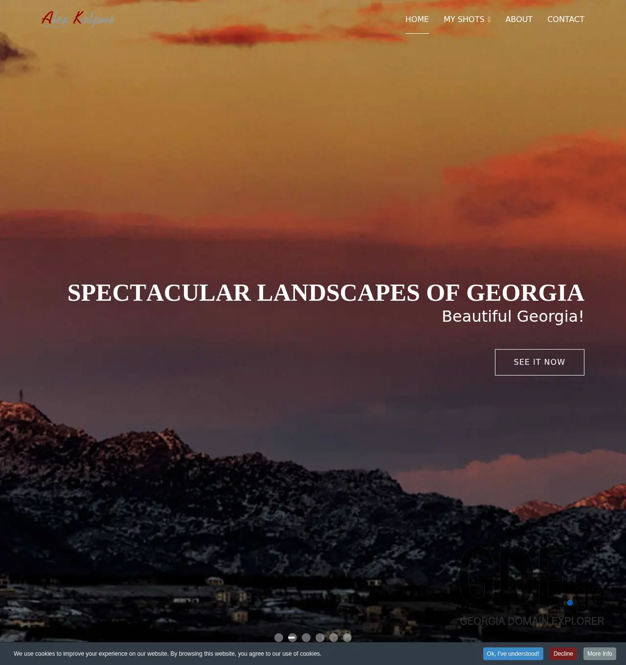 Screenshot of the site wesaw.ge at 2025-11-29