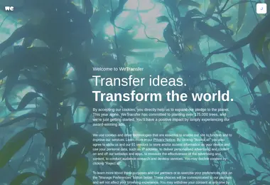 Preview from 12.12.2025