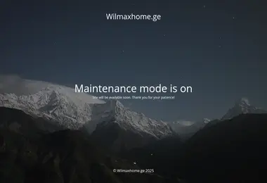 Screenshot of wilmaxhome.ge