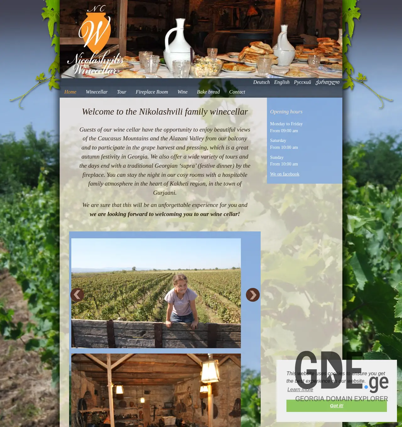 Screenshot of the site winecellar.ge at 2025-12-03