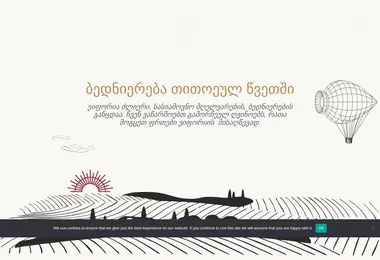 Screenshot of wineryeuphoria.ge