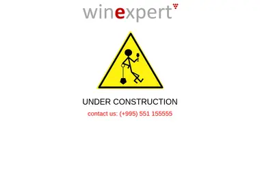 winexpert.ge-ის ეკრანის სურათი
