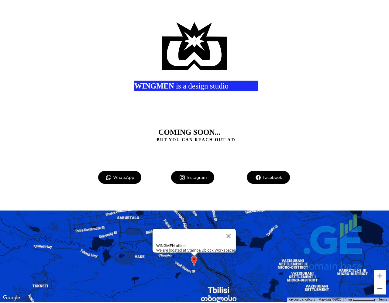 Screenshot of the site wingmen.ge