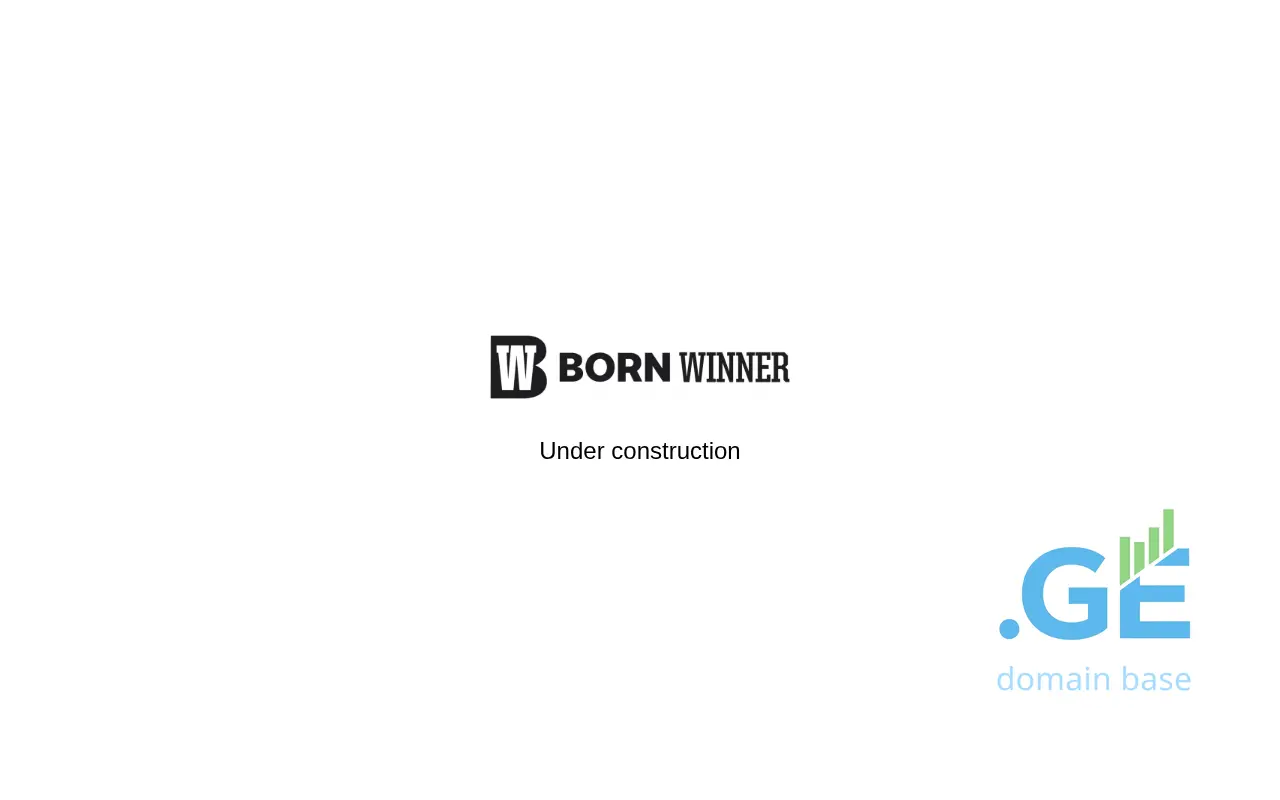 Screenshot of the site winnergroup.ge