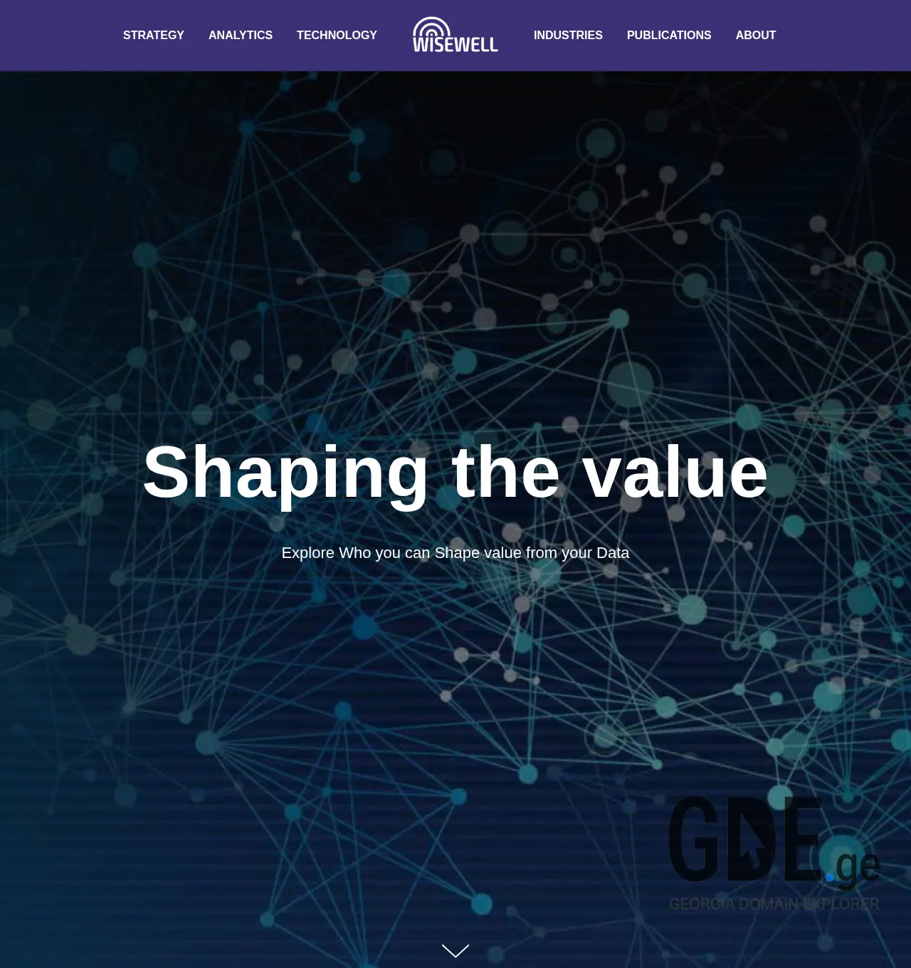 Screenshot of the site wisewell.ge at 2025-11-29