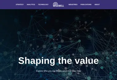 Скриншот wisewell.ge