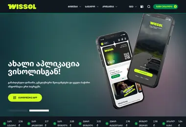 Screenshot of wissol.ge