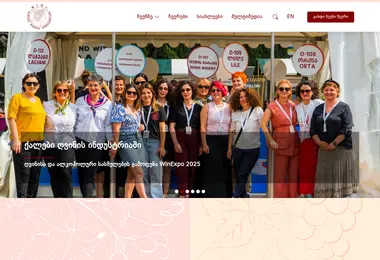 Screenshot of wiwi.ge