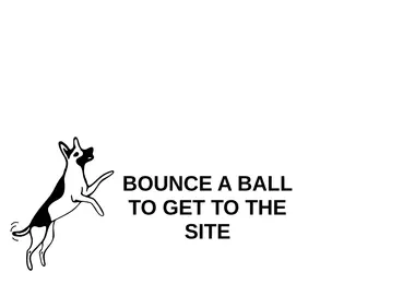 Preview from 12.12.2025