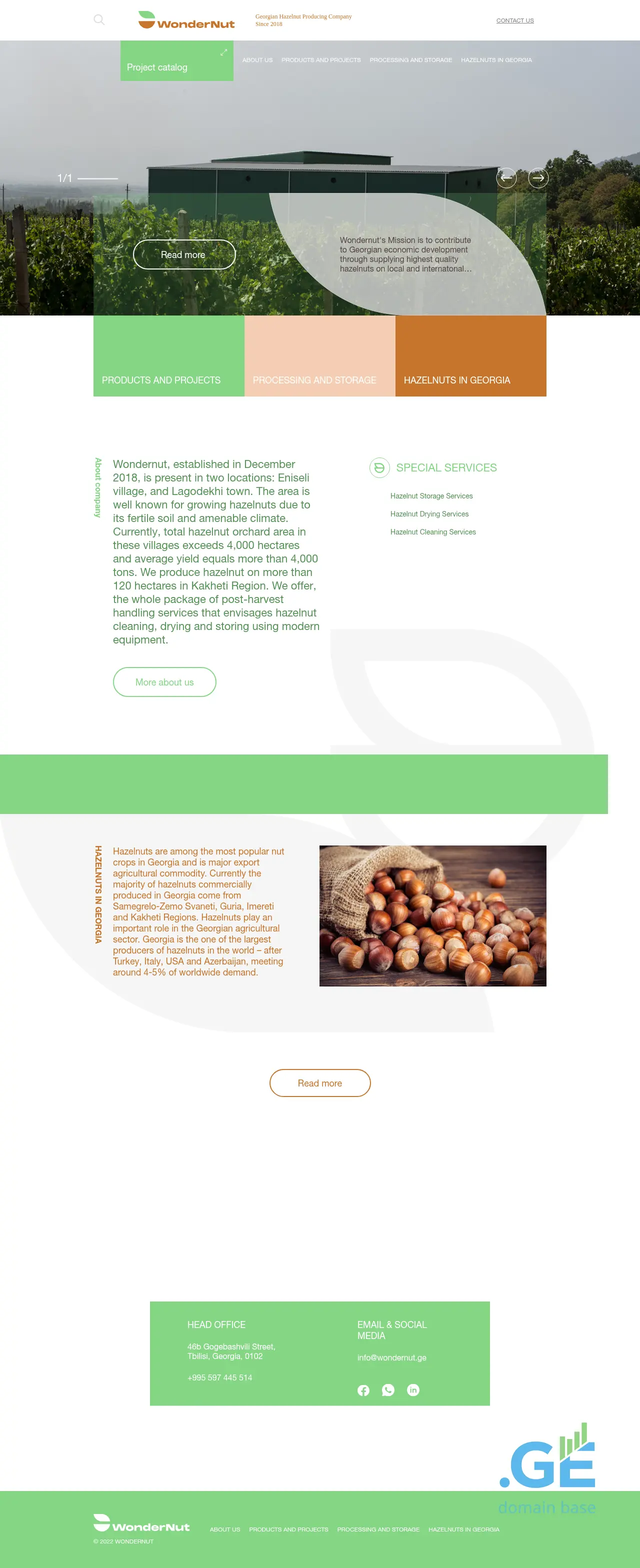 Screenshot of the site wondernut.ge