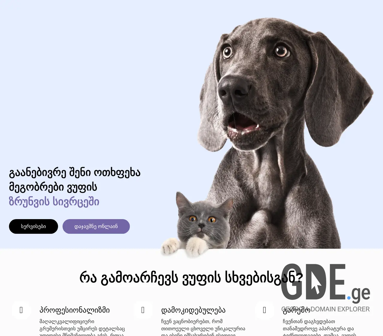 Screenshot of the site woofy.ge at 2025-12-12