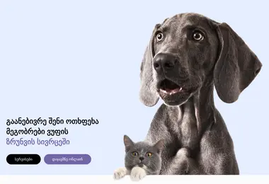 Preview from 12.12.2025