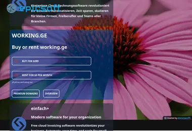 Screenshot of working.ge